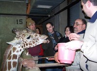 Memphis_01-18-2007 045.jpg
