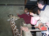 Memphis_01-18-2007 053.jpg
