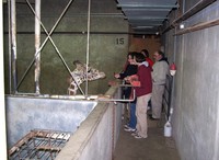 Memphis_01-18-2007 059.jpg