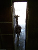 Memphis_01-18-2007 063.jpg