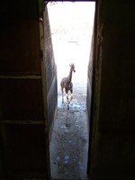 Memphis_01-18-2007 065.jpg