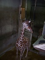 Memphis_01-18-2007 075.jpg