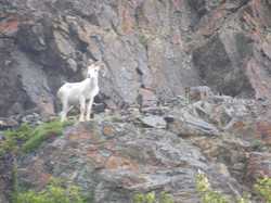 alaska 065.JPG