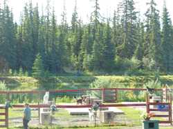 alaska 295.JPG