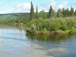 alaska 309.JPG